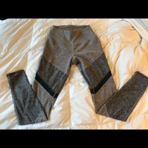 Alo yoga pants